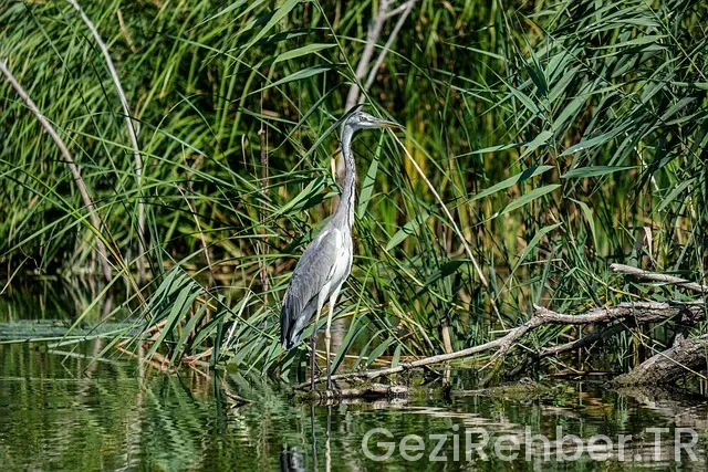 Akçay gezi turları