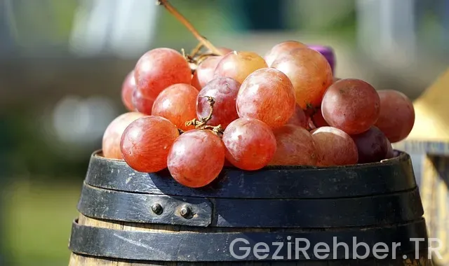 Almatı gezi rehberi