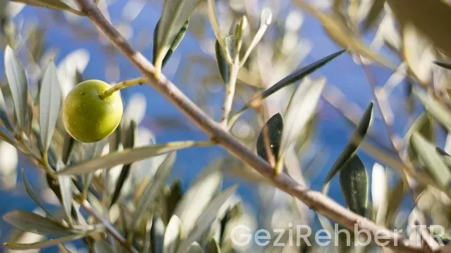 Antalya günlük gezi turları