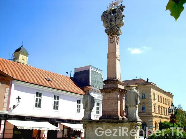 Avrupa gezi organizasyonu