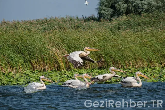 Azerbaycan gezi turları