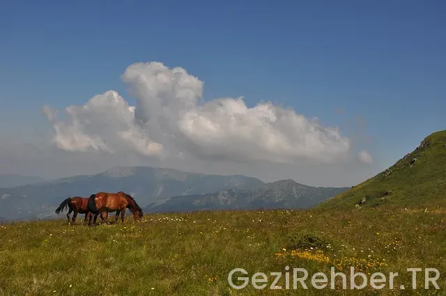 Balkan gezi rehberi Balkan gezi rehberi