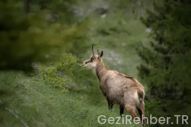 Berlin de gezilecek 10 yer Berlin de gezilecek 10 yer