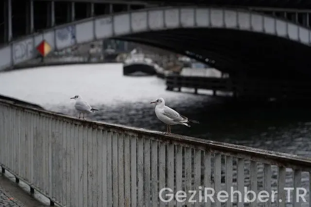 Berlin de gezilecek 10 yer Berlin de gezilecek 10 yer