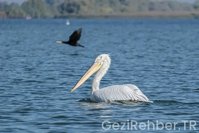 Budva turları ets