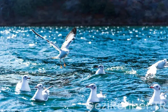 Budva turları ets