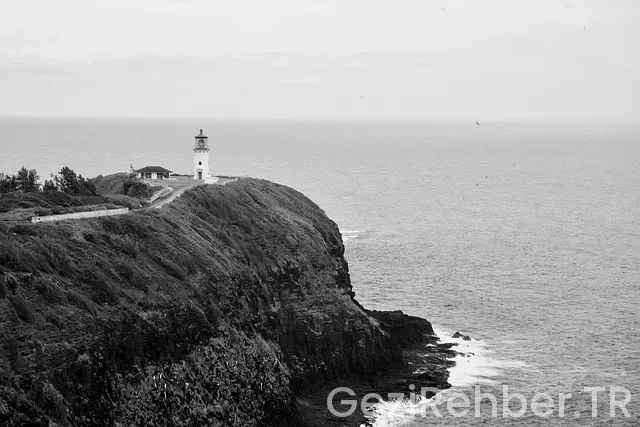 Çalış ve gez programı Çalış ve gez programı