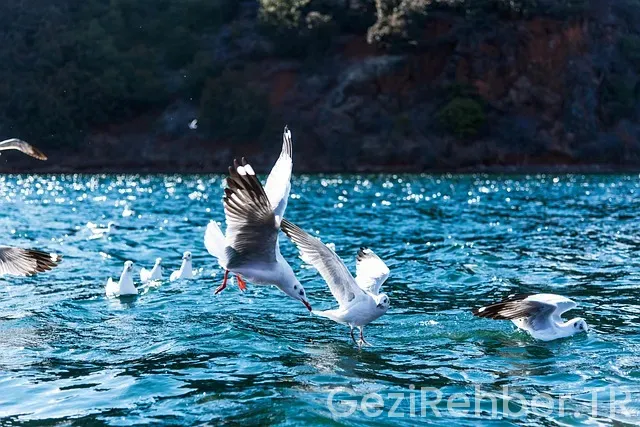 Çanakkale ets tur
