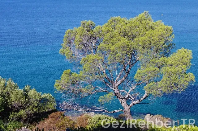 Cote d azur gezi rehberi
