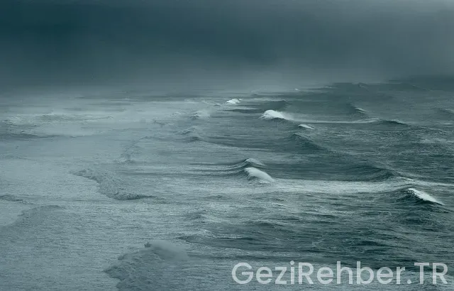 Deniz gezmiş montu defacto