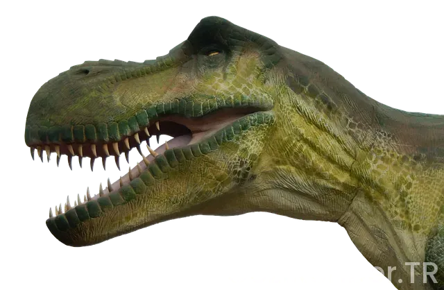 Diyarbakır çıkışlı gezi turları