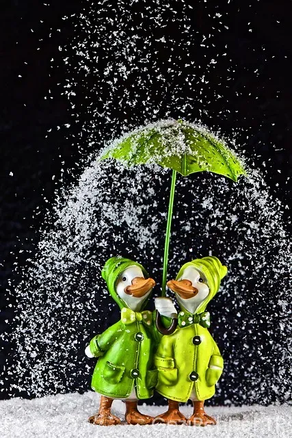 Doğu ekspresi karsa kaç saatte gidilir