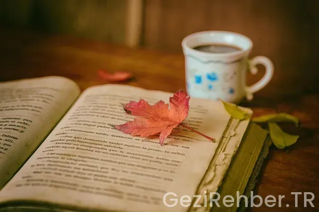 Ege bölgesi gezi kitap Ege bölgesi gezi kitap