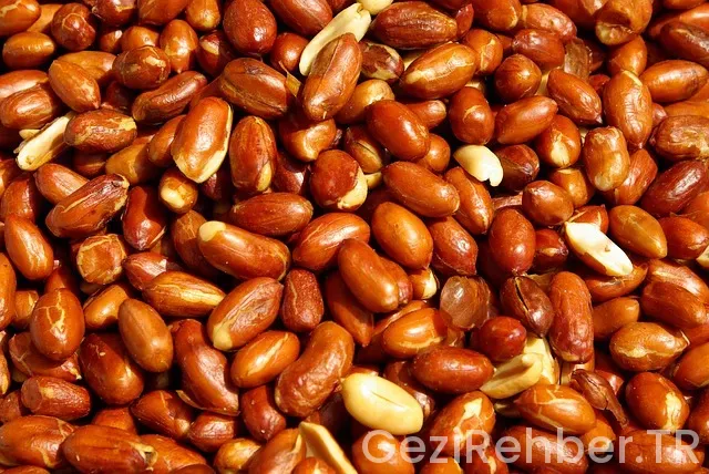 Ege bölgesi gezi lcek yerler