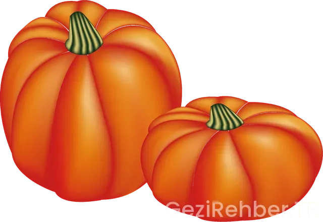 Faralya kabak koyu nerede