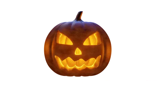 Faralya kabak koyu nerede