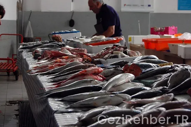 Fas gezi rotası Fas gezi rotası