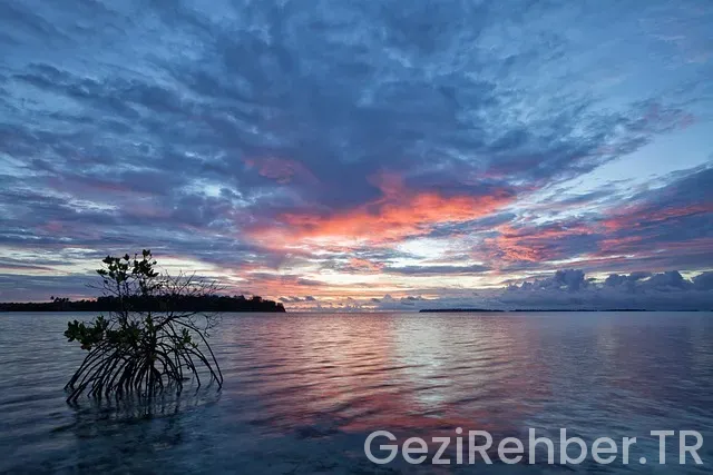 Fiji adaları nerede