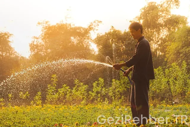 Fiji adalarında yaşam