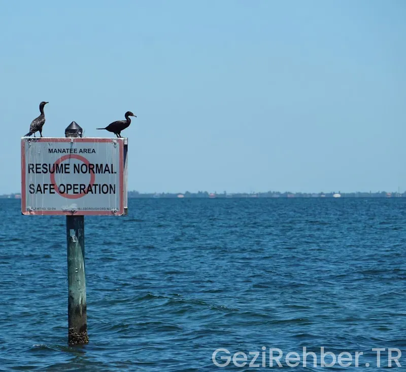 Florida nerede ile türkiye saat farkı