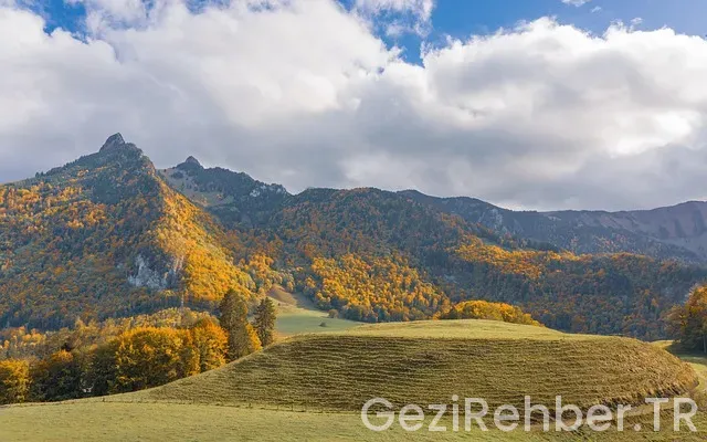 Freiburg gezi rehberi