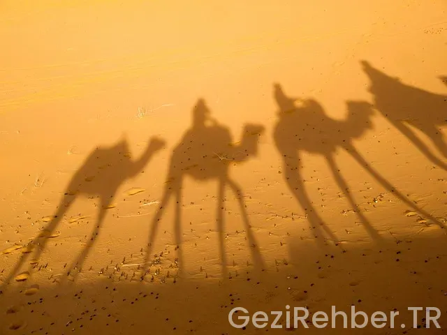 Gap turu gezi programı