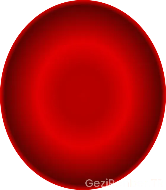 Gez oxyhome oksijen konsantratörü fiyatı