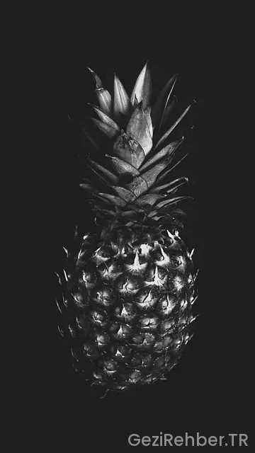 Gezi afiş batı karadeniz okullar için