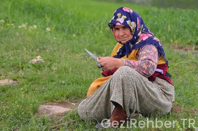 Gezi turları samsun çıkışlı