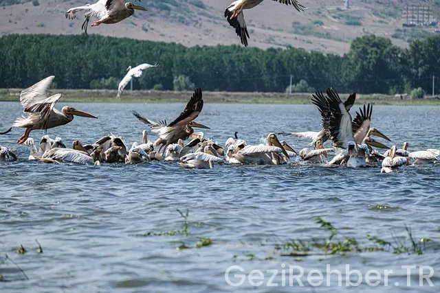 Gezi turları yurtiçi