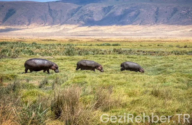 Güney afrika cumhuriyeti türkiye saat farkı