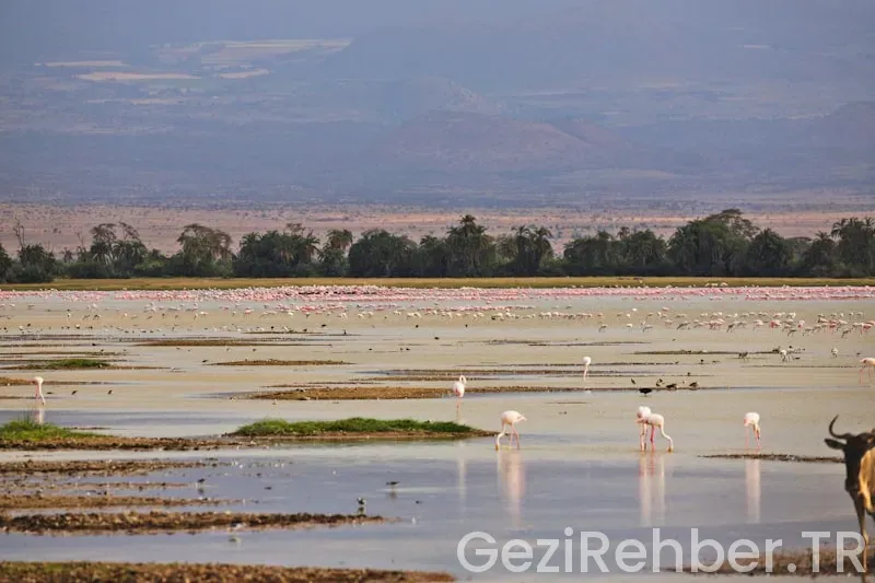 Güney afrika cumhuriyeti türkiye saat farkı