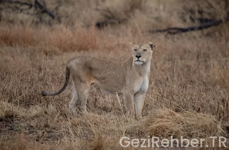 Güney afrika cumhuriyeti türkiye saat farkı