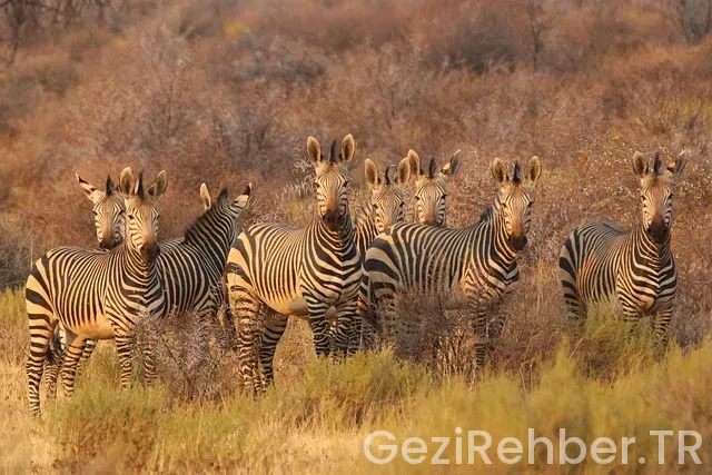 Güney afrika ve türkiye arasındaki saat farkı