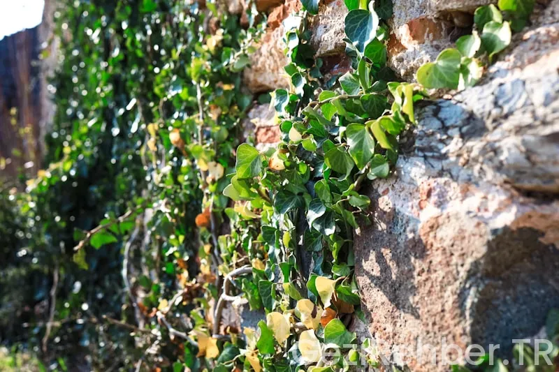 Güney doğu anadolu bölgesi tarihi nelerdir