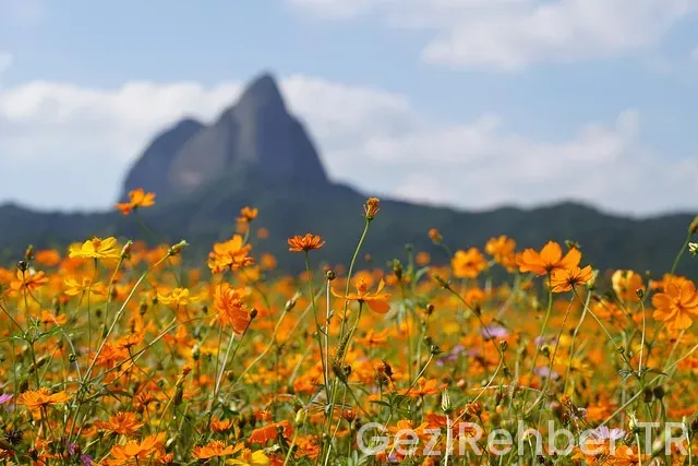 Güney italya gezi rehberi