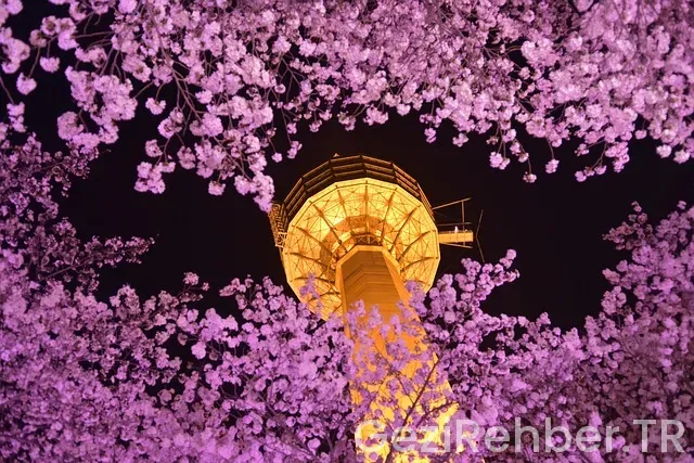 Güney kore ile türkiye saat farkı