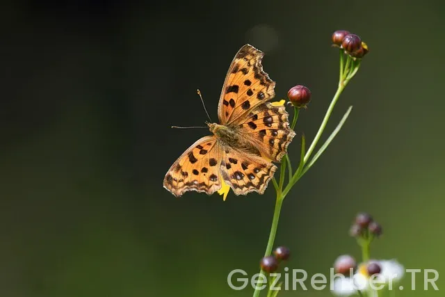 Güney kore ile türkiye'nin saat farkı
