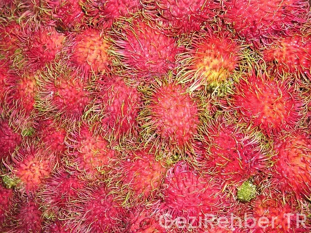 Güneydoğu anadolu gezi turları