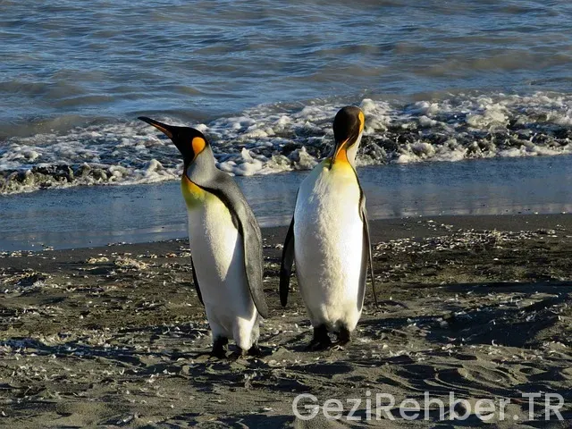 Gürcistan gezi turu