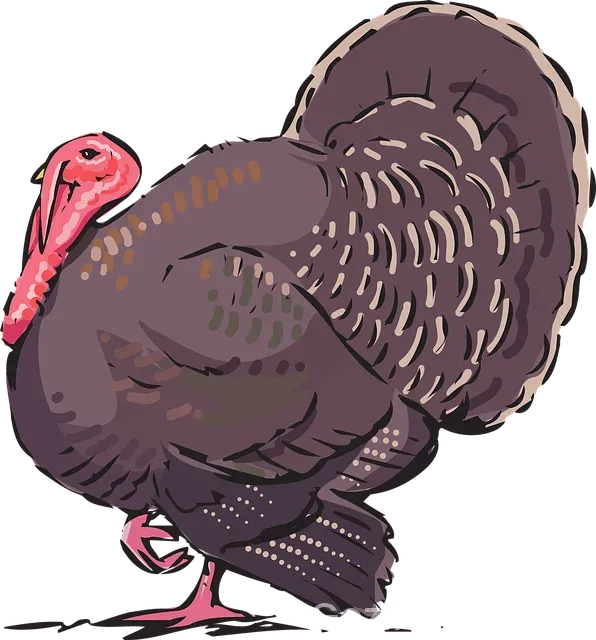 Hawaii türkiye saat farkı