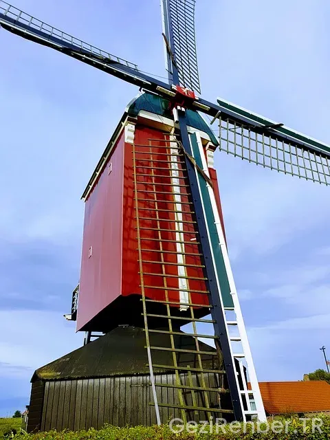 Hollandalı biriyle evlenmek