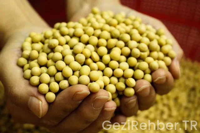 Hong kong ile türkiye arasındaki saat farkı