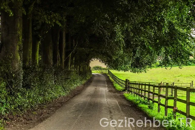 İngiltere de yaşamanın zorlukları