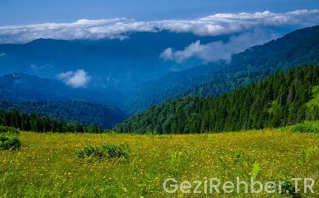 İngiltere türkiye arası kaç saat farkı var