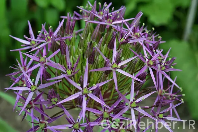 İran türkiye arasında saat farkı var mı