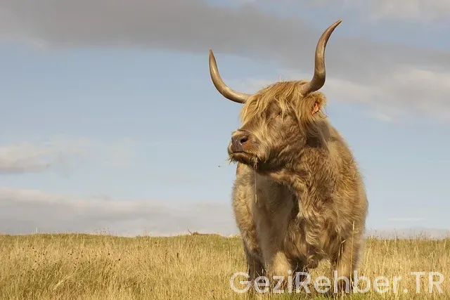 İskoçya gezi turları