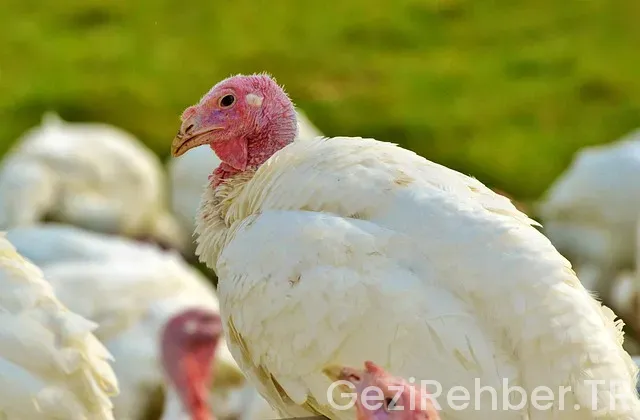 İspanya ile türkiye arasındaki saat farkı ne kadar