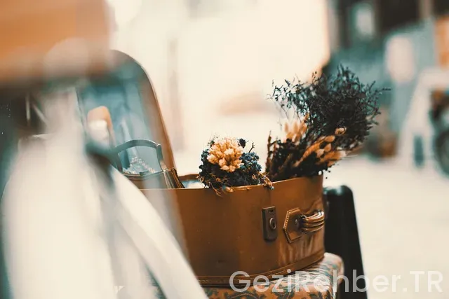 İstanbul bulgaristan otobüs