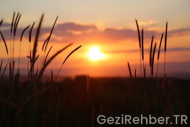 İstanbul gezi turları günübirlik